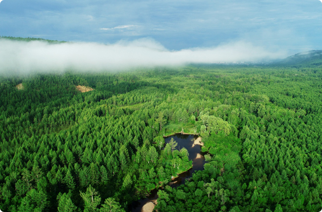 �֘I(y��)̼�R�(xi��ng)Ŀ����(w��)���x��ָ�ϣ�����x̼�R�־W(w��ng)��